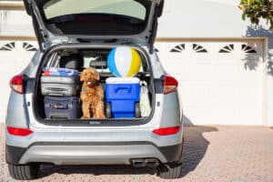 The Best Used SUVs for Jersey Shore Families in 2026